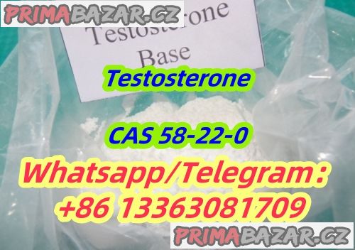 Testosterone Base Steroid Powder CAS 58-22-0 Testosterone