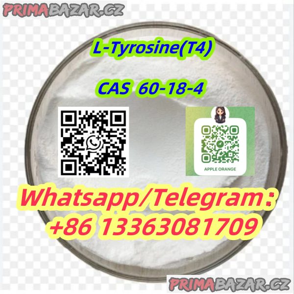 L-Tyrosine T4 Steriod Powder CAS 60-18-4