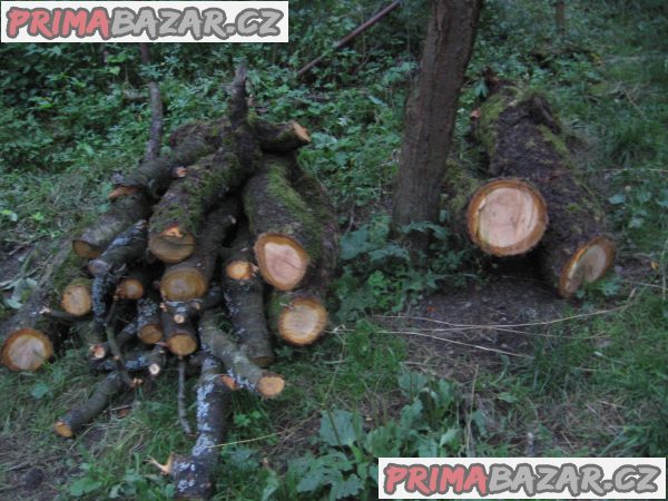 dřevo třešeň