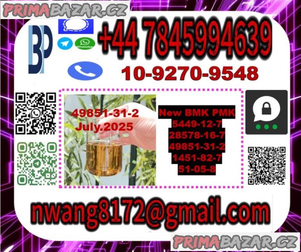 BMK PMK 49851-31-2 source factory