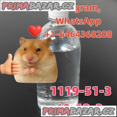 1119-51-3.3