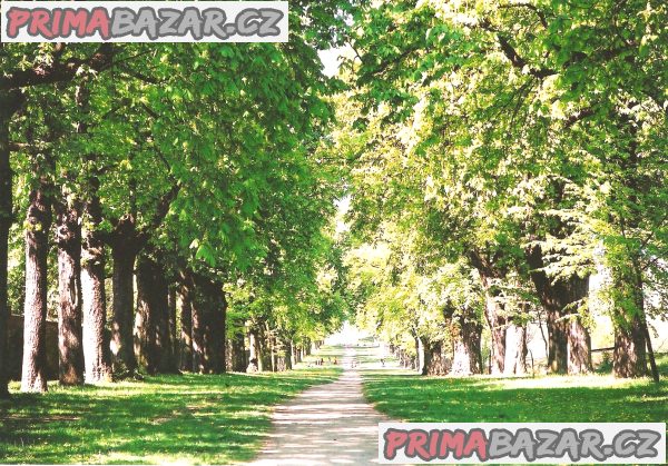 Pronájem novostavby  2+kk  Slavkov u Brna