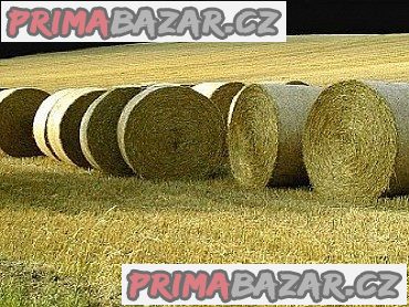 Pšeničná a ovesná sláma