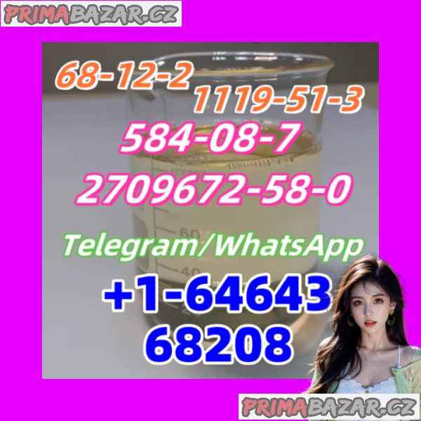 1119-51-3.1