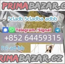 Free Classifieds Ads In India Buy/Sell/Rent