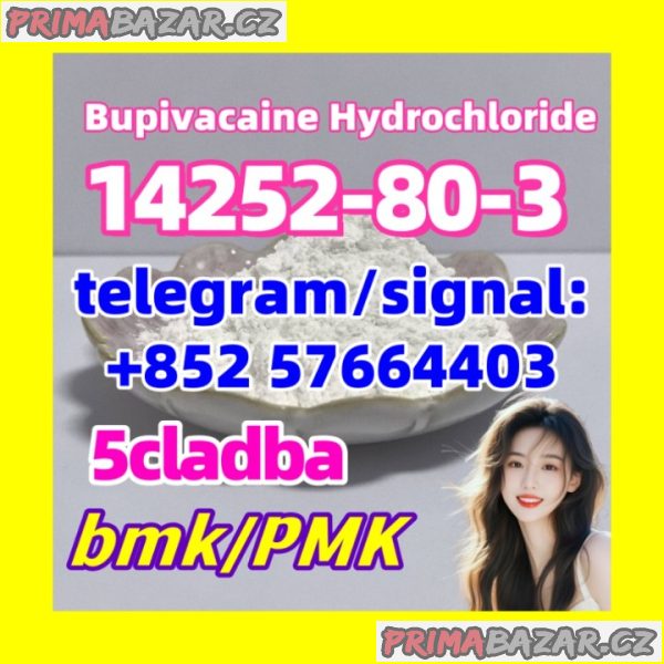 14252-80-3 Bupivacaine Hydrochloride