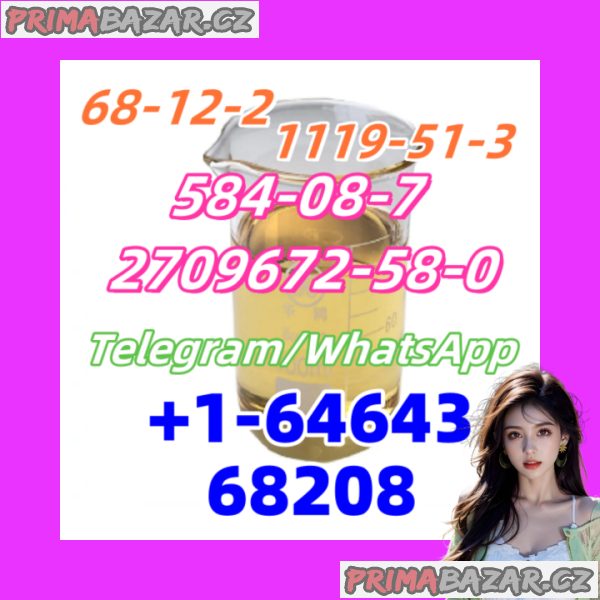1119-51-3.1