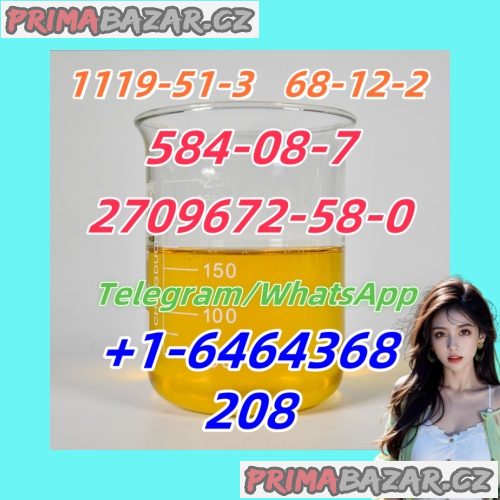1119-51-3.1