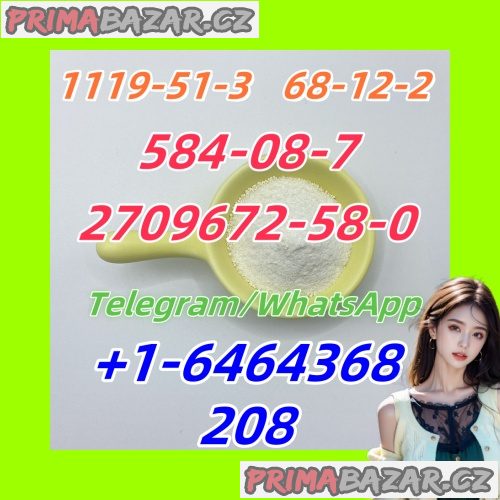 1119-51-3.1