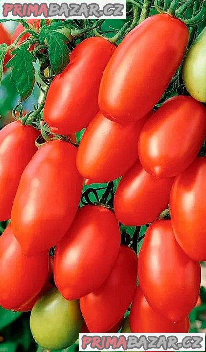 Rajče San Marzano Gigante 3 - semena