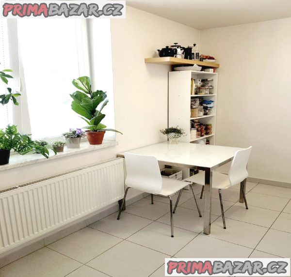 Pronajmu novostavbu 1+1 Brno, U Leskavy, 37m2 Pronajmu novostavbu 1+1 Brno, U Leskavy, 37m2