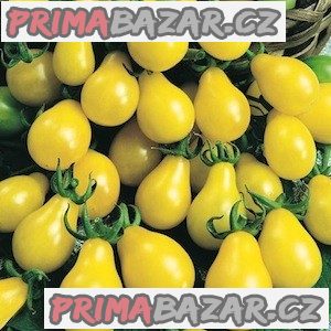 Rajče Perun - semena