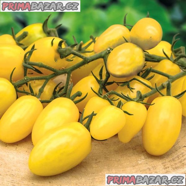 Rajče Dattolime F1 - semena