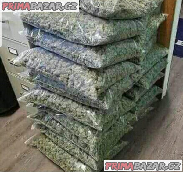 Kupte si GHB, mefedron, pervitin, MDMA, efedrin, zolpidem, ketamin, marijuana