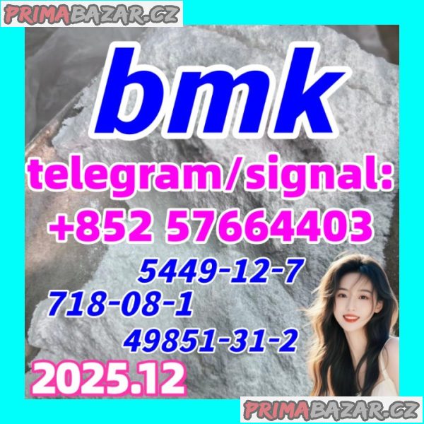 BMK Glycidic Acid (sodium salt) 99% Powder CAS 5449-12-7