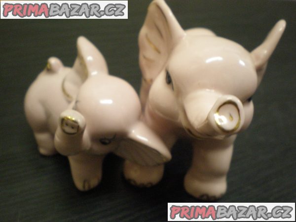 SLONICE SE SLŮNĚTEM