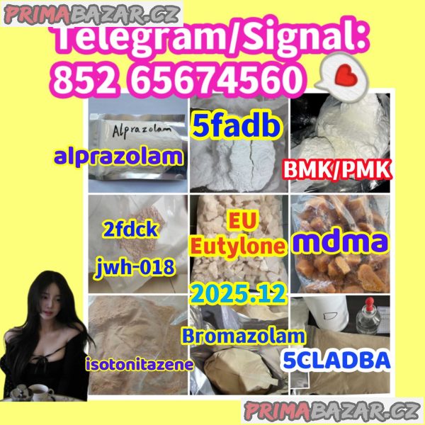 Telegram/Signal：+852 65674560