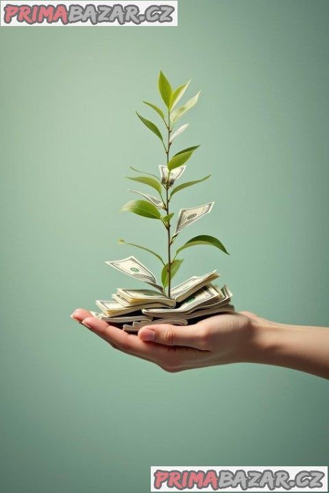 Půjčka až 800 000 Kč – Jednoduše a rychle