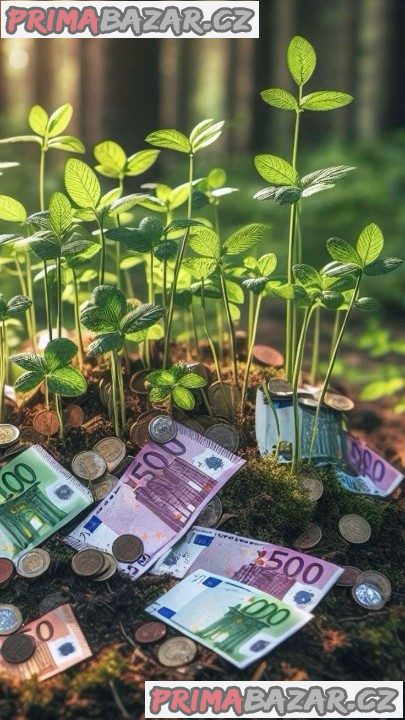 Rychlá půjčka bez zbytečného čekání – od 30 000 Kč až do 50 milionů!