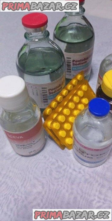 Speciální nabídka léků na hubnutí: Mounjaro, Ozempic, Wegovy, Saxenda