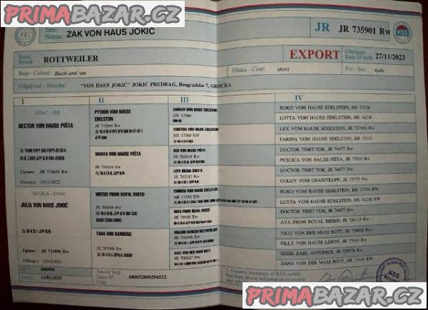 Štěňata rotvajlera