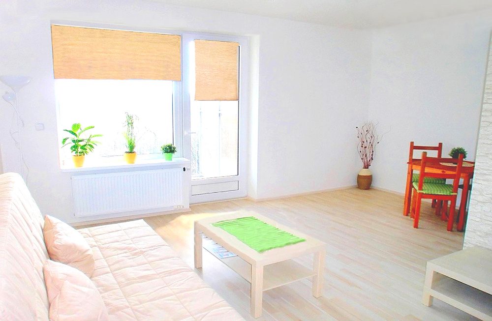 Pronajmu novostavbu 1+1 Brno, U Leskavy,  43. m2