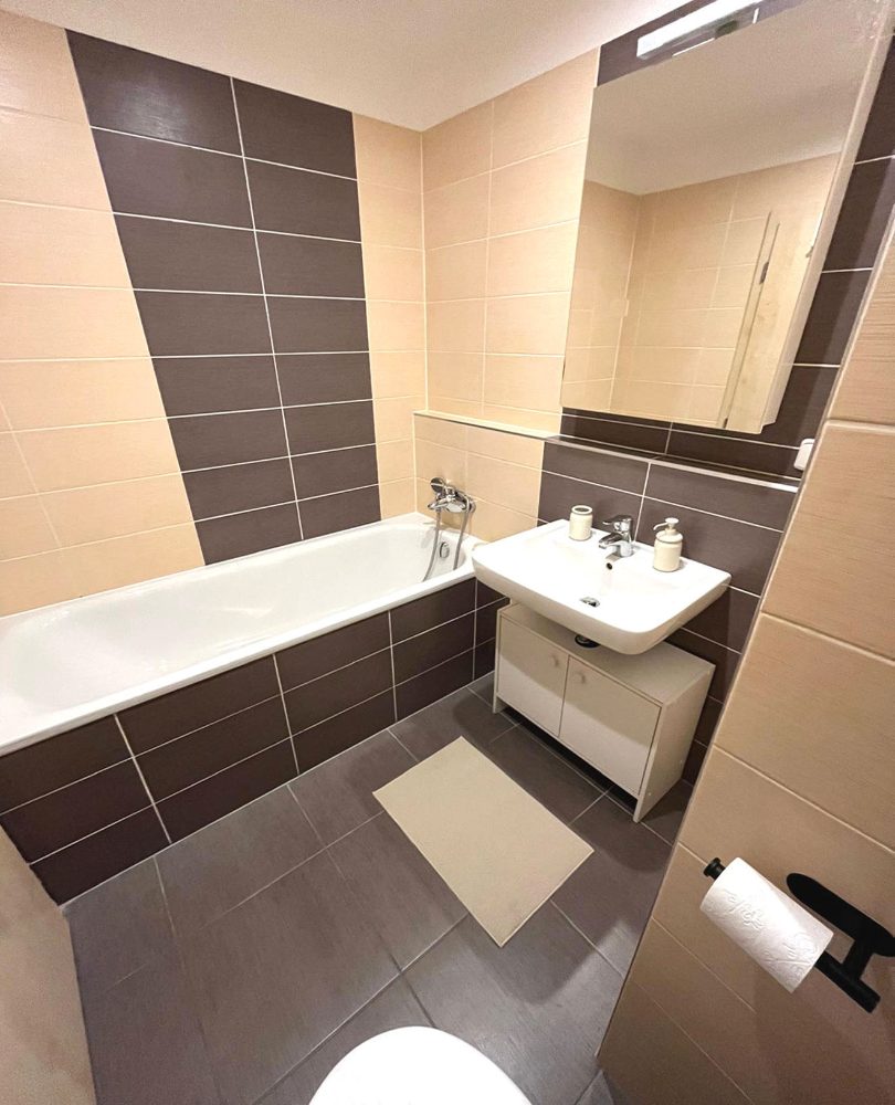 Pronajmu novostavbu 1+1 Brno, U Leskavy,  43. m2