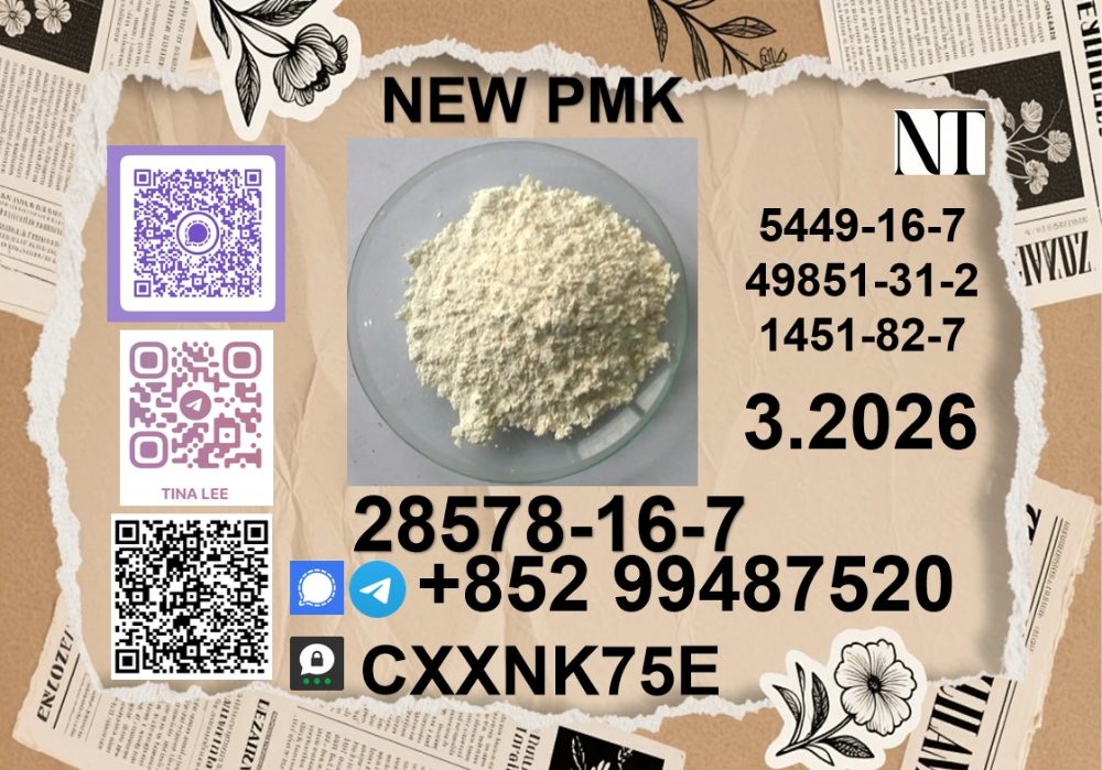 China Reliable supplier P.M.K Cas 28578-16 -7