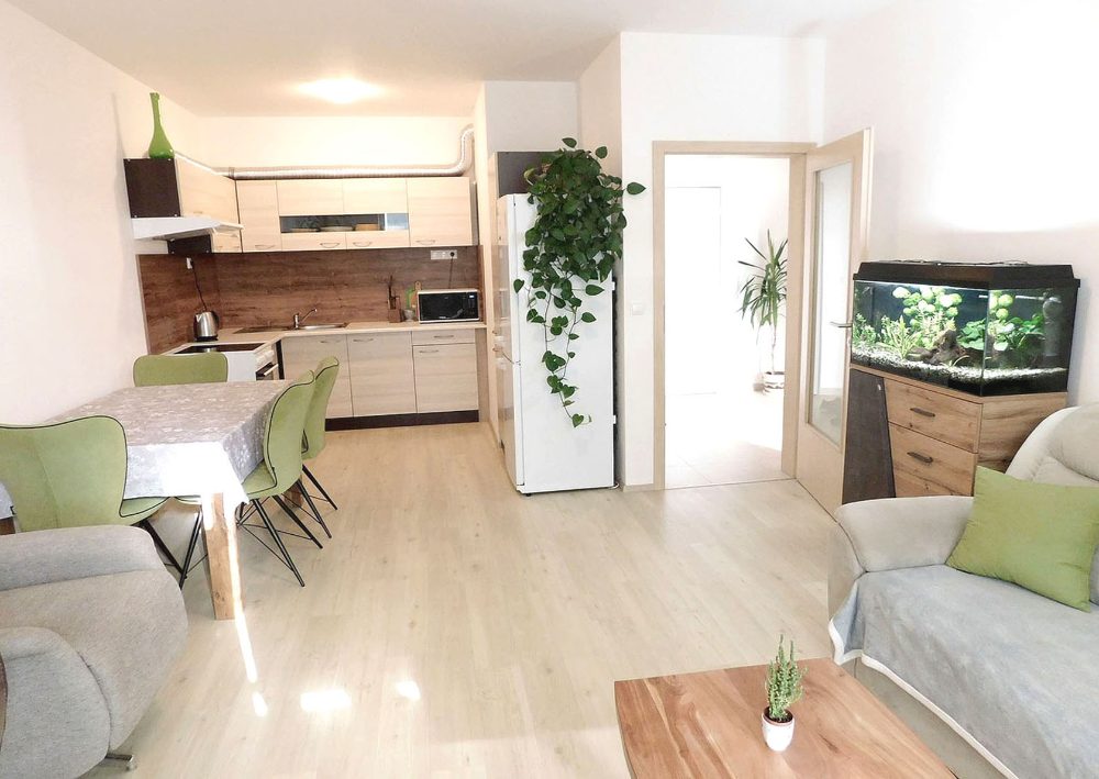 Pronajmu novostavbu 2+kk Slavkov u Brna, Zelnice. 58 m2