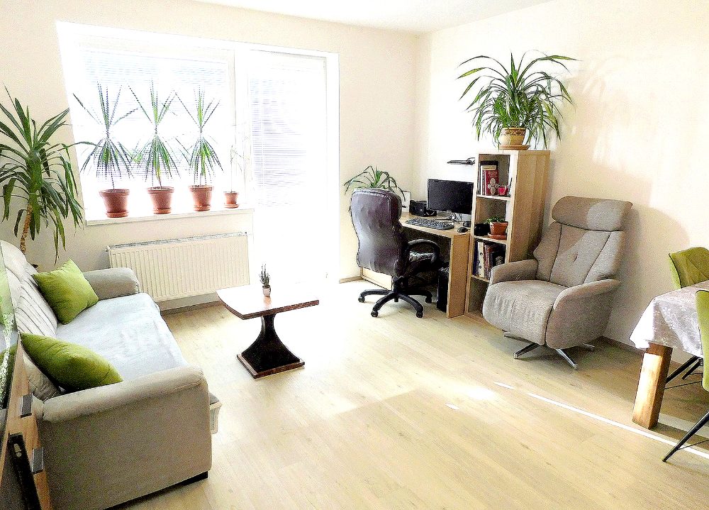 Pronajmu novostavbu 2+kk Slavkov u Brna, Zelnice. 58 m2