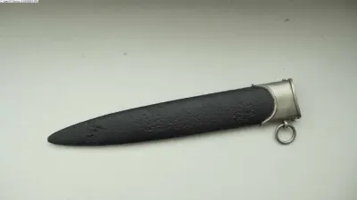 Pochva SS (1)