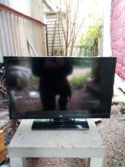 Televize