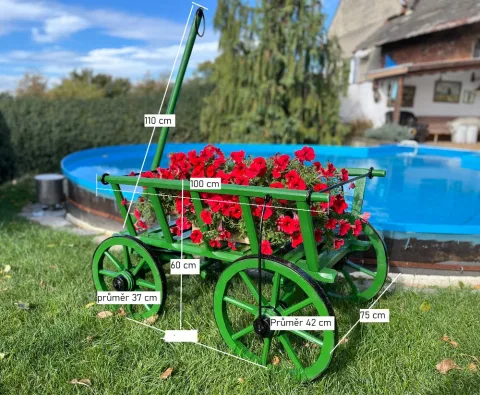 Žebřiňák